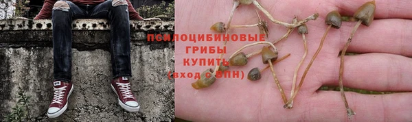 spice Абинск