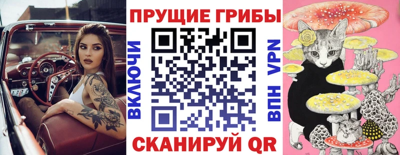 Галлюциногенные грибы Psilocybine cubensis  Тюкалинск 